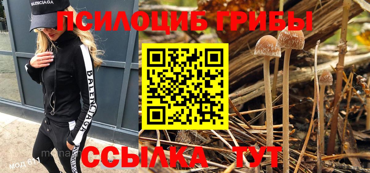 Кубинка  Псилоцибиновые грибы Psilocybe  Вход с VPN 